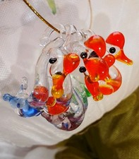 Swan goose bird for sale  UK