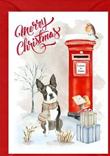 Boston terrier dog for sale  YEOVIL