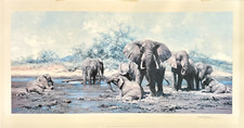 David shepherd elephant for sale  CAMBRIDGE
