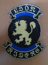 Patch lion riders gebraucht kaufen  Deutschland