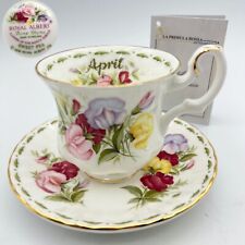 Set tazza caffè usato  San Giorgio a Liri