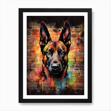 Aesthetic belgian malinois d'occasion  Expédié en Belgium