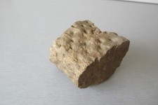 Petrified wood fossil for sale  SOUTHAMPTON