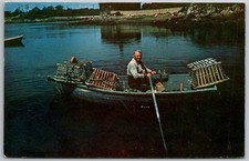 C1960s postcard maine for sale  Montgomery