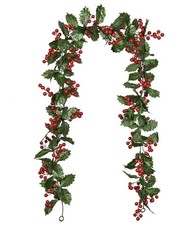 Lvydec red berries for sale  Mckinney