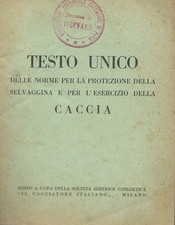 Testo unico sulla usato Testo unico sulla usato  Italia