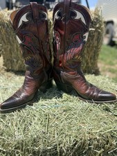 Vtg texas eagle for sale  Greeley