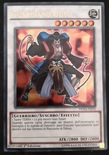 Guardiano goyo ultra usato  Venezia