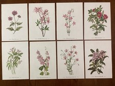 flower set prints for sale flower set prints for sale Camden Wyoming