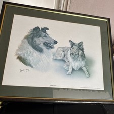 collie paintings for sale collie paintings for sale WESTON-SUPER-MARE