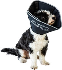 The comfy cone usato  Roma