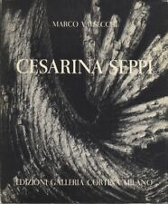 Cesarina seppi. usato  Trento
