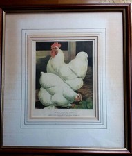 Game fowl print for sale  GAINSBOROUGH