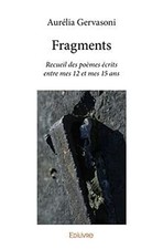 Fragments gervasoni aurélia gebraucht kaufen  Berlin