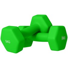 2 x 5kg dumbells for sale 2 x 5kg dumbells for sale GREENFORD