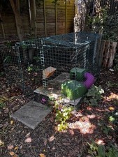 Omlet zippi rabbit for sale  BENFLEET