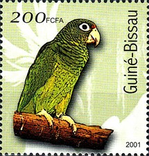 Guinea postfrisch mnh gebraucht kaufen  Unna