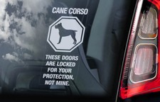 Cane corso car for sale  NOTTINGHAM