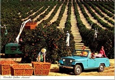 Cartão postal Florida FL Orange Harvest Fields Pickers meninas vintage Jeep Crane Cont comprar usado  Enviando para Brazil
