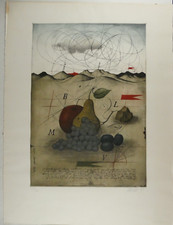 Alois janak farbradierung gebraucht kaufen  Oldenburg (Oldenburg)