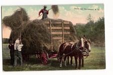 Gouverneur hay wagon for sale  Orient
