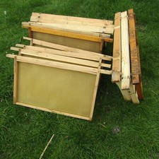 Bee hive brood for sale  KING'S LYNN