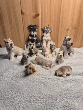 Schnauzer miniture dog for sale  Charleston