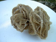 Grande rose sables d'occasion  France