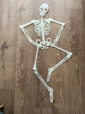 Vintage 5ft plastic for sale  HULL