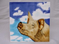 Large ceramic tile for sale  TADWORTH