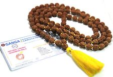 Conta de rosário Rudraksha Mala Rudraksh com certificação de laboratório meditação hindu 108+1 contas, usado comprar usado  Enviando para Brazil