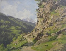 Luigi calderini villar usato  Casteggio