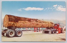 Vintage photochrome redwood for sale Vintage photochrome redwood for sale  Athens