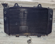 Radiatore acqua bmw usato  Fasano