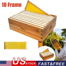 10frame medium bee for sale  USA
