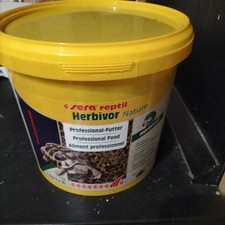 Sera reptil herbivor usato  Olgiate Molgora