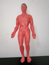 esplorando corpo umano modellino usato esplorando corpo umano modellino usato Palermo