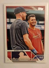 arena mirrors for sale arena mirrors for sale Sweetwater