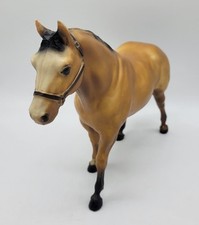 Buckskin quarter horse for sale  Somerset