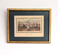 Charge scots greys for sale  FALKIRK