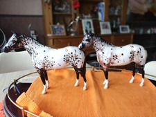 Beswick appaloosas for sale  BRIXHAM