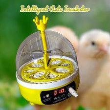 Automatic intelligent egg for sale  LUTON