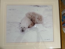 framed art bears photographed for sale framed art bears photographed for sale Georgetown