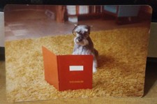 Vtg photo 70s for sale Vtg photo 70s for sale  Cleveland
