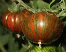 Chocolate striped beefsteak d'occasion  Expédié en Belgium