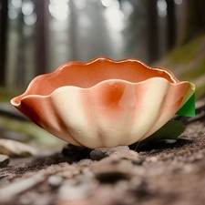 Mussano marciandi torino usato Mussano marciandi torino usato  Italia