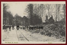 Austell moors snow for sale Austell moors snow for sale  LONDON