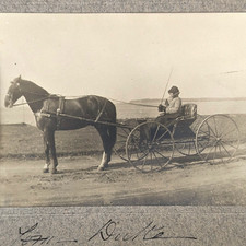 Antique woman riding for sale  Hackettstown