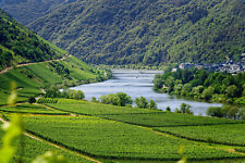 Weinfreude mosel rhein gebraucht kaufen  München