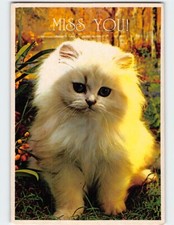 Postcard miss cute for sale  Almond